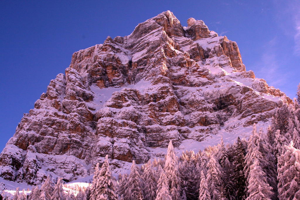 Hotel Rifugio Passo Staulanza Zoldo Alto Exterior foto